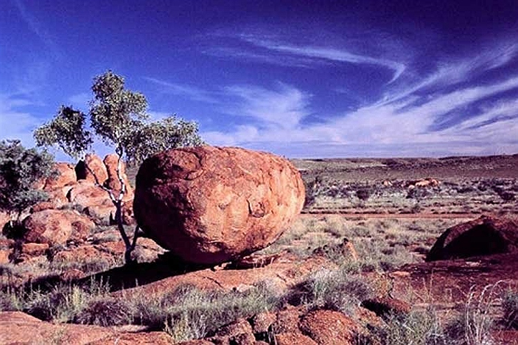 دشت بیابانی آلیس اسپرینگز در استرالیا. 