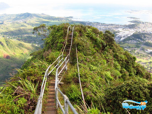 پلههای هایکو