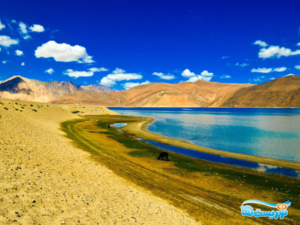 دریاچۀ پانگونگ سو