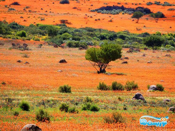 سرزمین ناماکوئالا