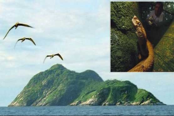 جزیره ی ممنوعه در برزیل 