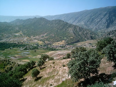 کلم؛ عروس روستاهای ایلام 1