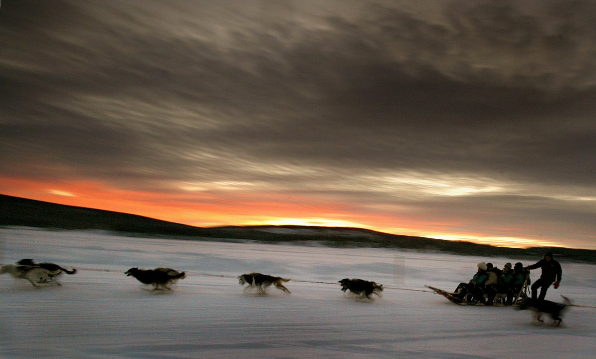 a-dogsled-team-carries-tourists-down-the-frozen-torne-river-located-above-the-arctic-circle-in-northern-sweden