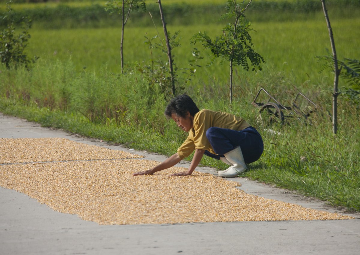 North-Korea-Photos