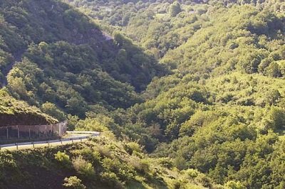 جنگلهای ارسباران