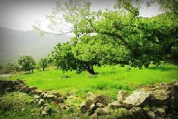 چهارمحال و بختیاری