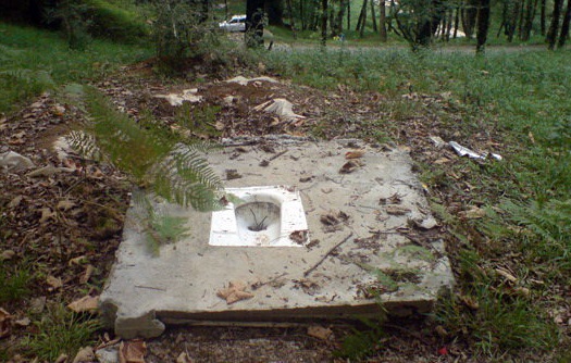 سرویس بهداشتی