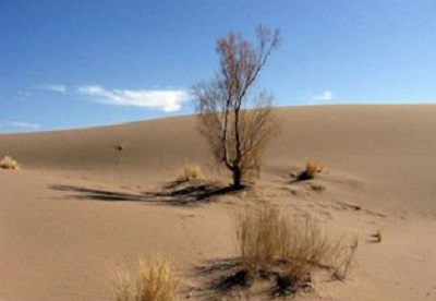 راهنمایان ژئوتوریسم