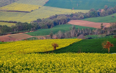 گردشگران کشاورز