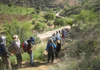 راهنمایان تور