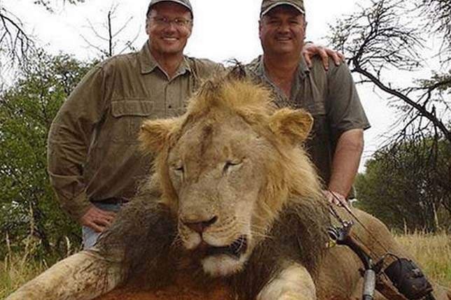 کشته شدن شیر