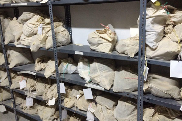 بانک اطلاعاتی