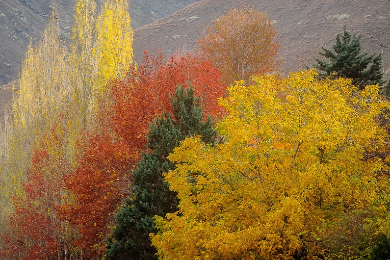 گردشگری زمستانی