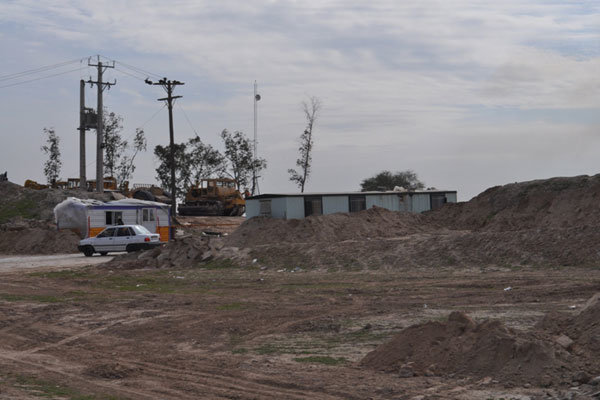 جنگل کاری صنعتی