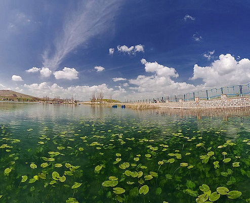 سراب نیلوفر