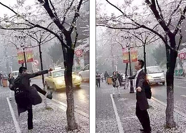 گردشگران چینی