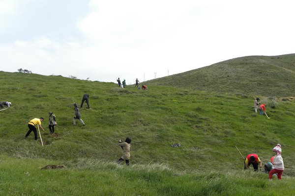 مناطق طبیعی