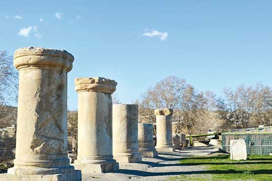 اشک آناهیتا