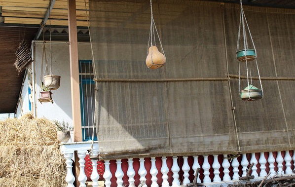 اقامتگاه بومی