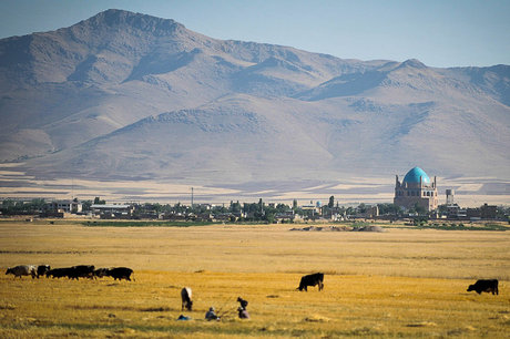 گردشگر خارجی